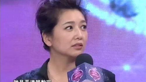 明星庆庆,明星庆庆的璀璨人生