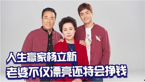 杨爸爆料视频大全集,揭秘幕后真相与精彩瞬间