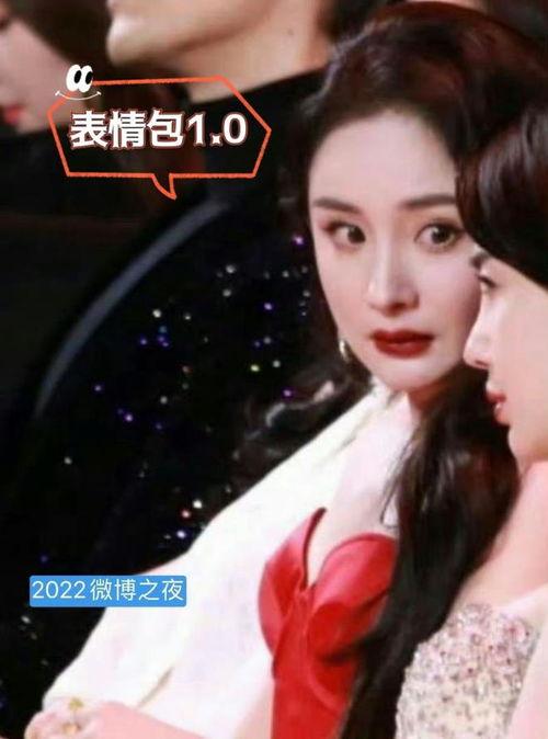 吃瓜大户直播,揭秘娱乐圈幕后故事