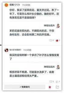 头条首页问答栏,热门话题背后的深度解析